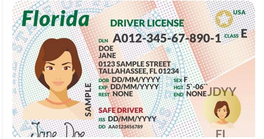 renovar licencia de conducir en florida